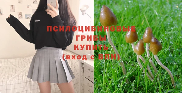 марки nbome Белокуриха