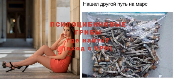скорость Богородск