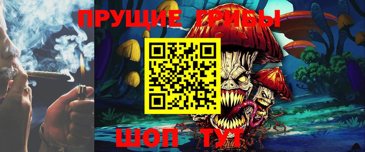 Заводоуковск  Галлюциногенные грибы прущие грибы  Вход с VPN 
