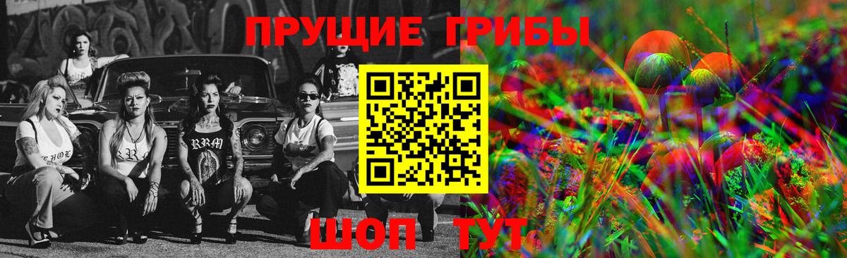 закладка  Заводоуковск  Галлюциногенные грибы мухоморы 